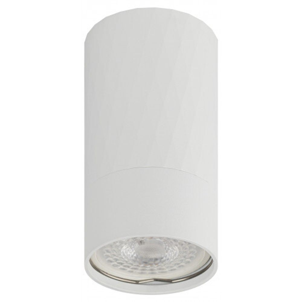 Светильник настенно-потолочный спот ЭРА OL31 WH MR16 GU10 IP20 белый