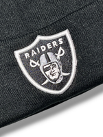 Шапка Raiders 3D logo black с подворотом