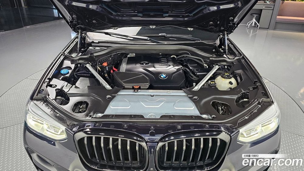 BMW X4 (G02) xDrive20i M Sports X Online Exclusive Editions (09.2021)