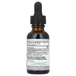 Nature's Answer, Экстракт листьев джимнемы, без спирта, 1000 мг, 30 мл (1 жидк. унц.)