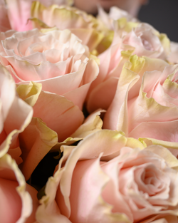 Монобукет розовый