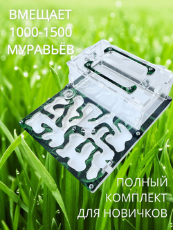 Муравьиная ферма Standard "Мята L " с муравьями