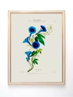 Постер настенный в багетной раме "Ботаника" 42*32 см