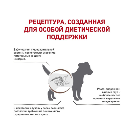 Royal Canin Gastro Intestinal Low Fat диета для собак мелких пород с ограниченным содержанием жиров при нарушении пищеварения