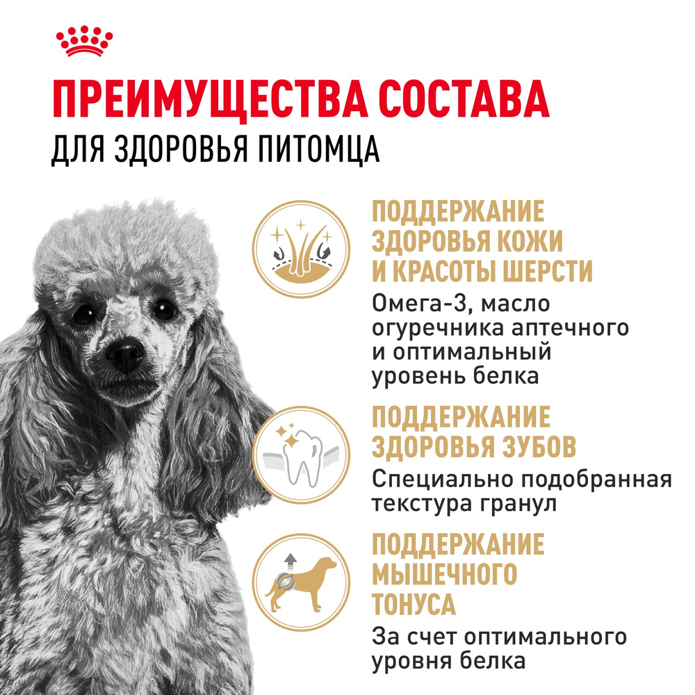 Royal Canin POODLE ADULT корм для взрослых собак породы пудель старше 10 месяцев 3кг