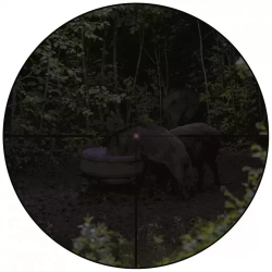 Прицел Vector Optics Constantine 1-10x24 SFP FIBER - фото 12