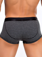 Мужские хлопковые трусы-боксеры в полоску (Размер: L) (Цвет: черный с серым)