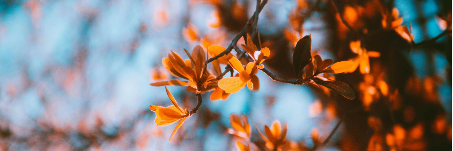 Приходите в праздничные дни:  01 ноября - с 11 до 18 часов,                3 и 4 ноября с 10 до 18 час.