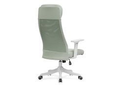 Компьютерное кресло Salta light green / white