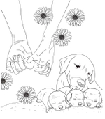 Lovely Dogs. Coloring book