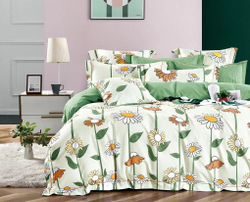 Постельное белье 2 спальное евро Asabella 1762-6