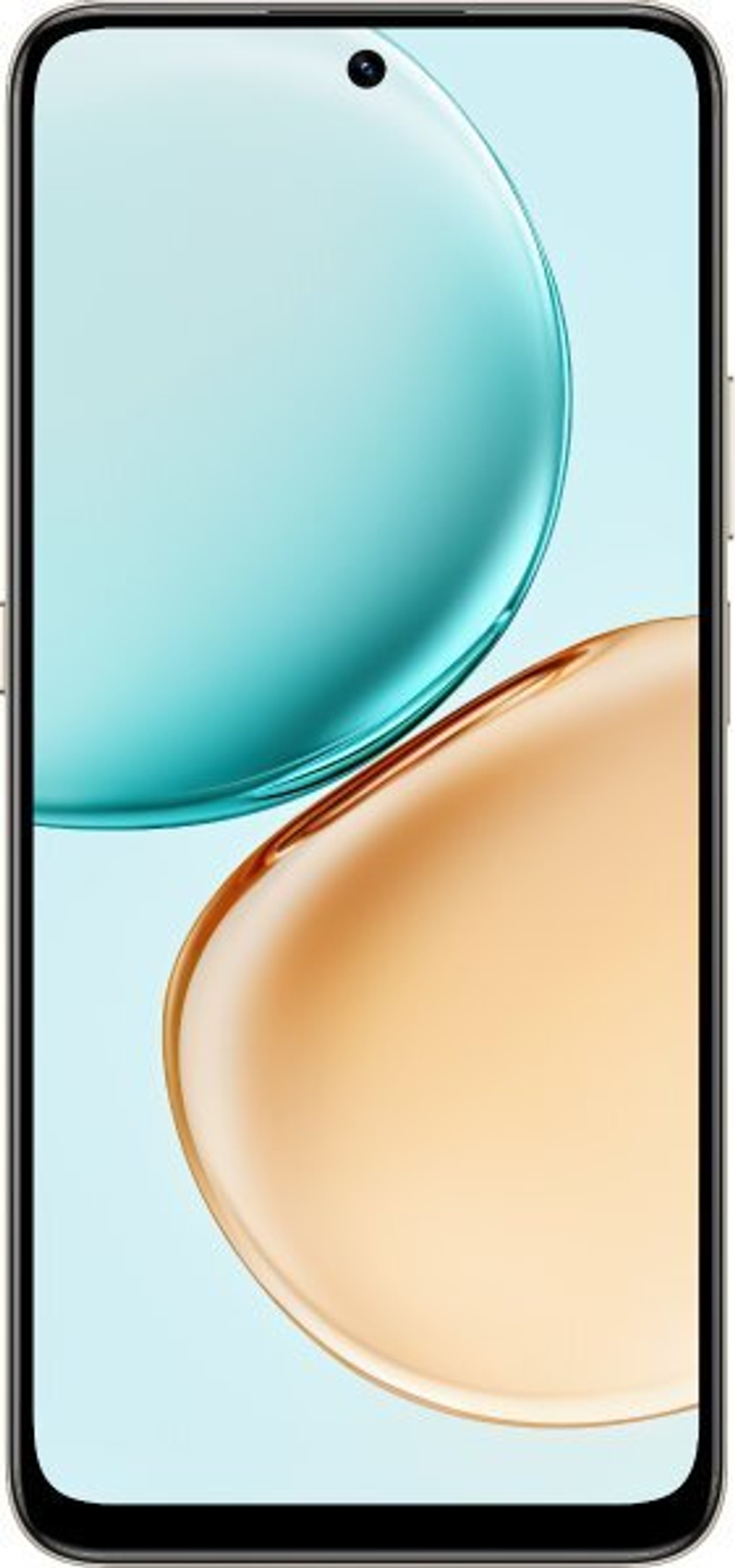 Honor X7d 6/128Gb RU Gold