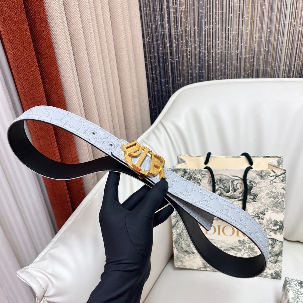 Christian Dior Reversible Belt