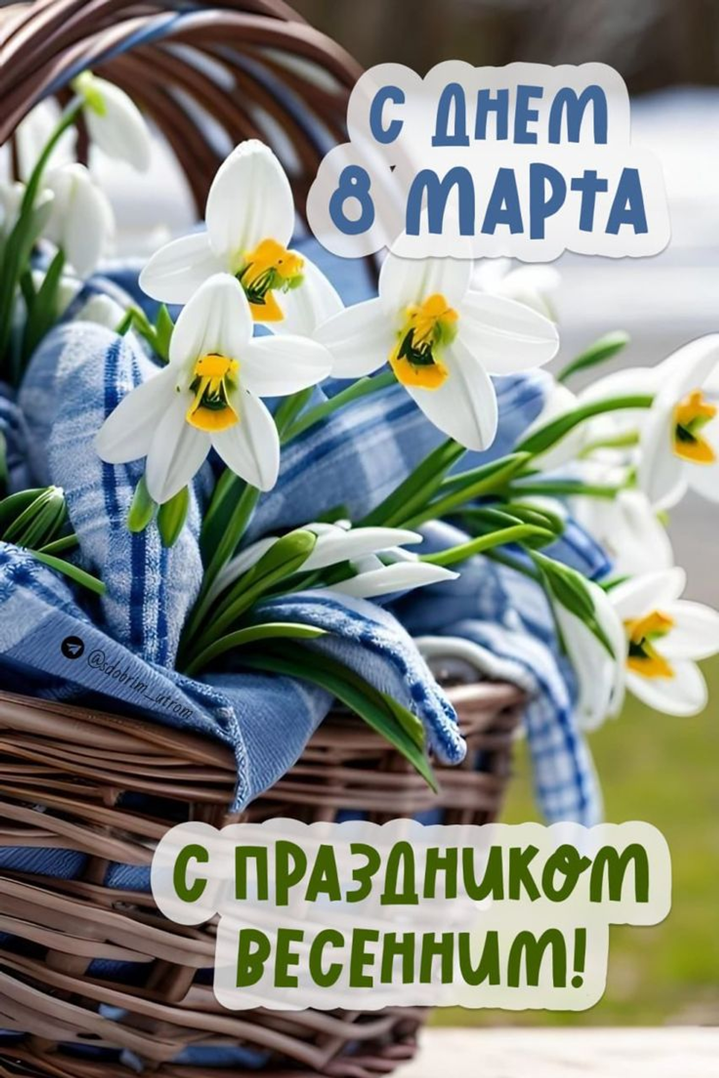 Поздравляем с 8 марта! И дарим скидку 8%