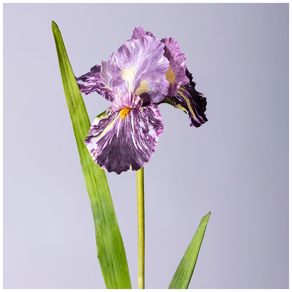 ЦВЕТОК ИСКУССТВЕННЫЙ "ИРИС" ВЫСОТА=95 СМ. (МАЛ=24 ШТ/КОР=96ШТ.)