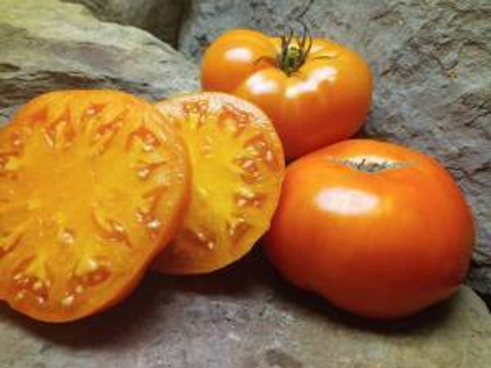 Сладкий оранжевый Озарк Sweet Ozark Orange