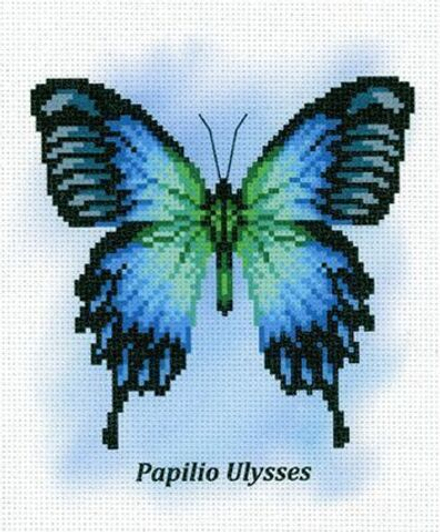 Рисунок-схема на канве для вышивания крестом "Загадочная Улисс", 30  х 21 см / 18 х 14 см (Россия)