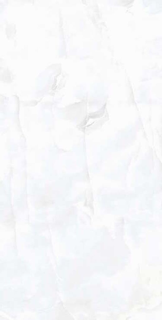 COIN WHITE 600*1200 керамогранит полированный