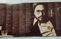 Винтажная виниловая пластинка LP Al Di Meola Splendido Hotel (Japan 1980) (No Obi)
