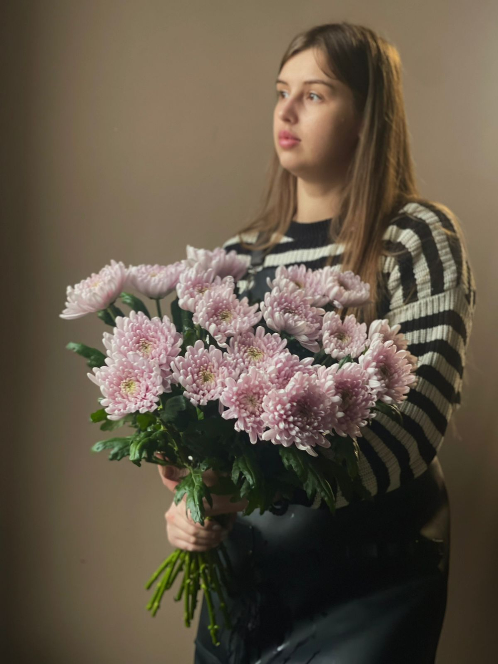 Хризантема одноголовая (Сиреневая)