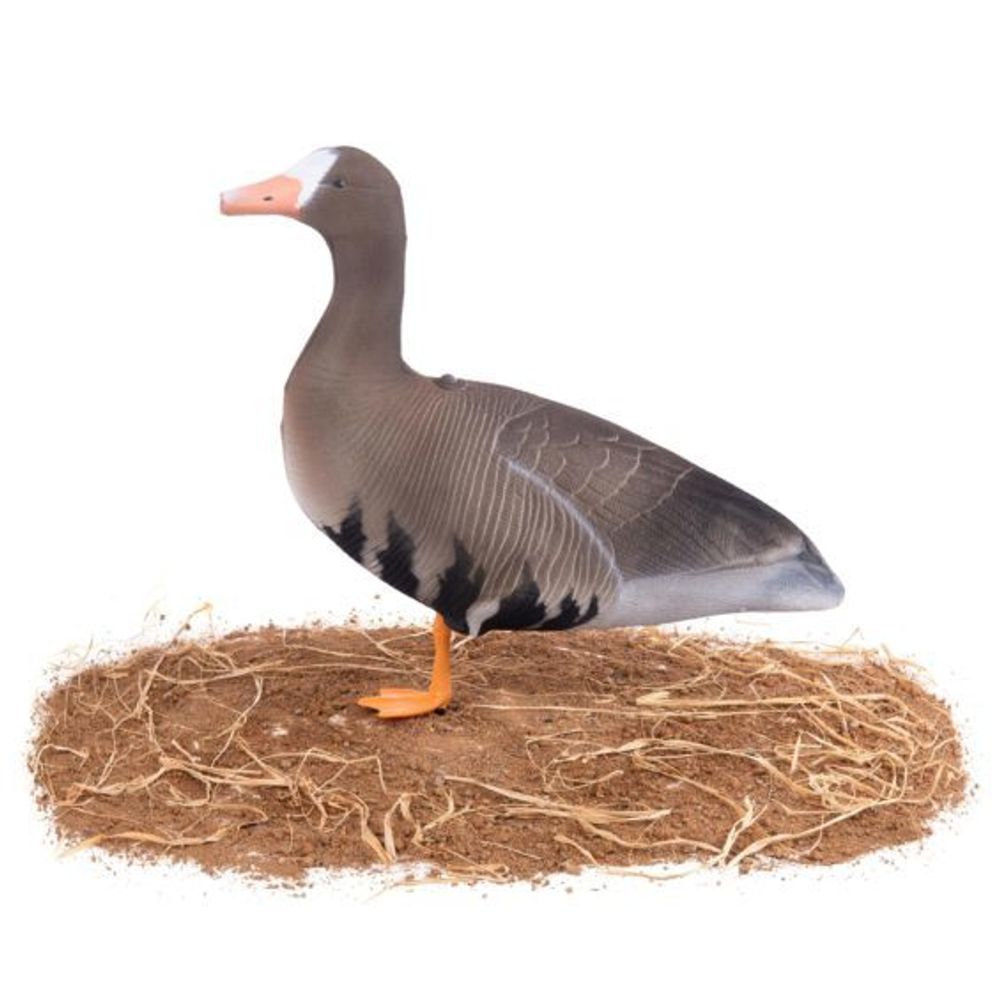 Комплект чучел Гусь Белолобый (10шт) S-XPE B622X-UV "Живое перо",  "North Way"
