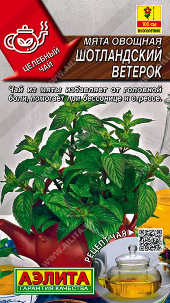 Mятa овощная &quot;G. Шотландский ветерок&quot; 0.03г., Россия.