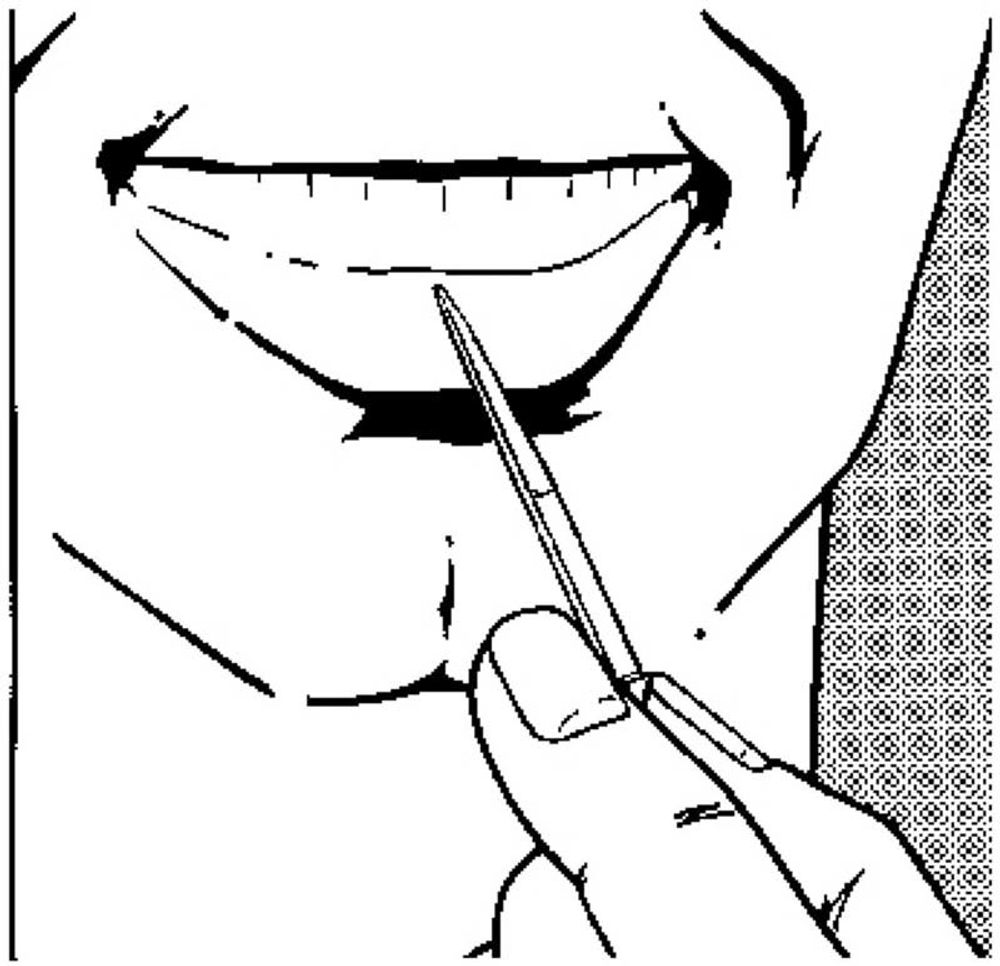 Зубочистка Victorinox A.6141