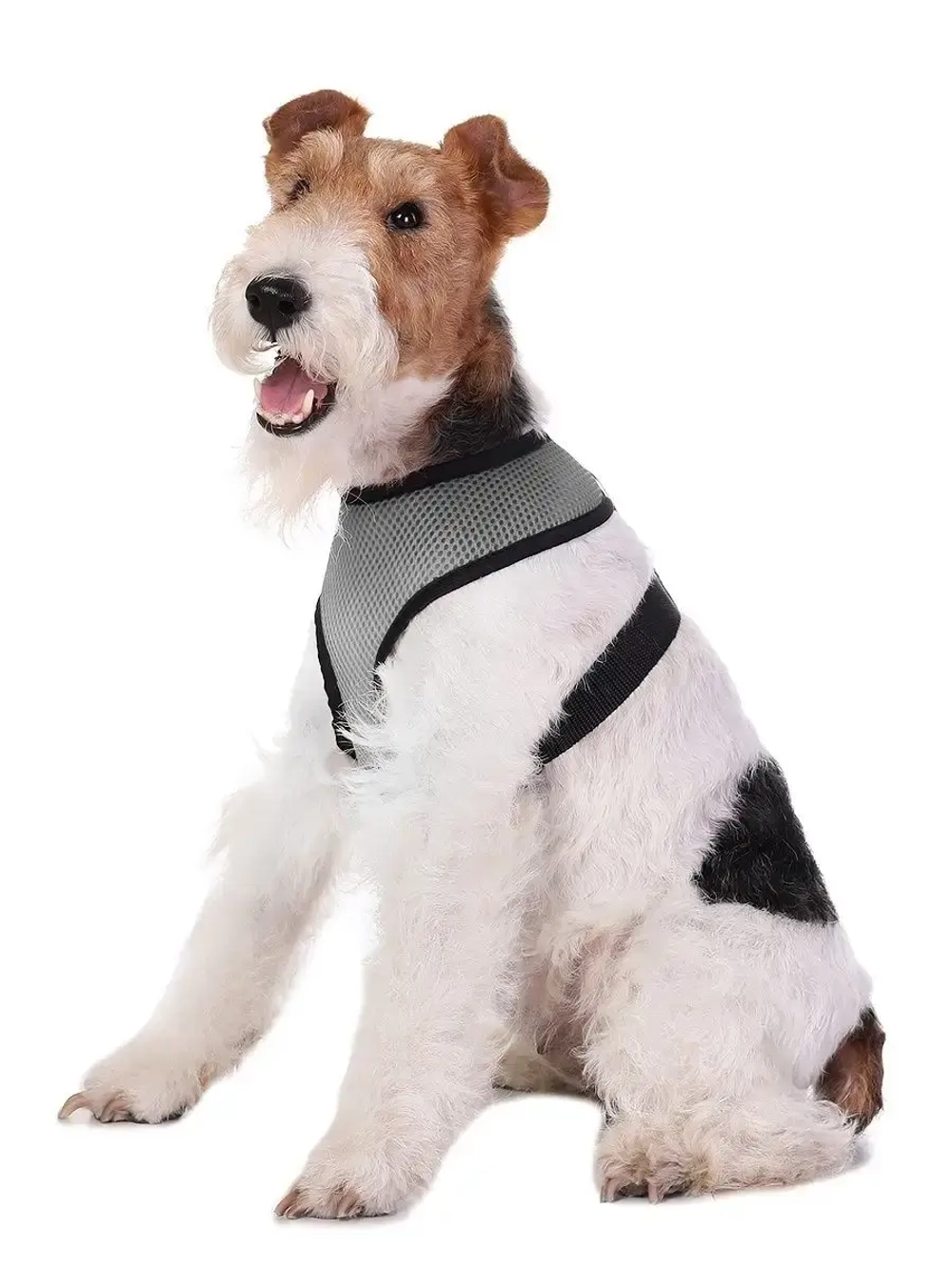 Жилет шлейка для собак и кошек прогулочная