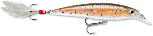 Воблер RAPALA X-Rap XR10 / 10 см, 13 г, цвет TR