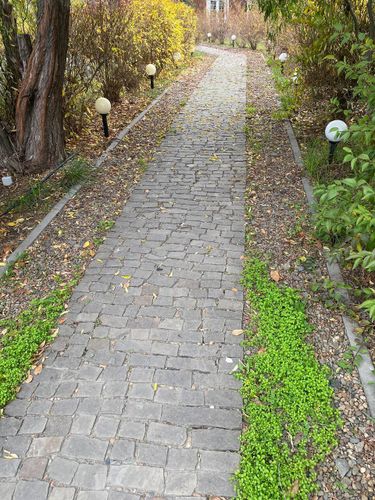 Брусчатка песчаник колотый