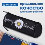 Пенал BRAUBERG, 3 отделения, нейлон, 21х7х7 см, "Spring", 270840