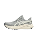 Женские кроссовки ASICS GT-2000 13 ATC 'Seal Grey Brich' 1012B810-020