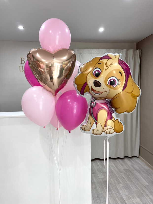 Шары для девочек №195