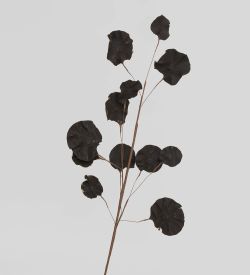 TRN 230 Цветной горошек