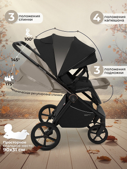 Детская коляска Sweet Baby Elegante Therma SBL 2 в 1 Black