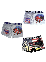 Мужские трусы боксеры серый меланж с принтом, хлопок M/48, Primal
