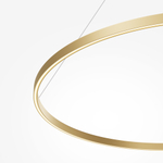 Люстра подвесная светодиодная Maytoni Rim MOD058PL-L65BSK