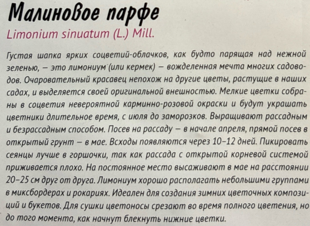 Лимониум Малиновое парфе (Кермек) 0,05 г СМЦ-261