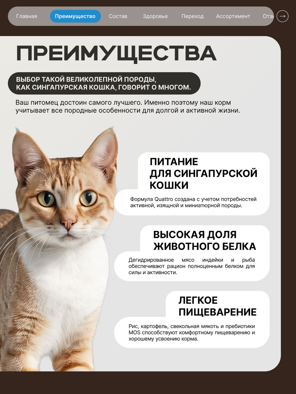 Корм сухой для взрослых кошек породы Сингапурская кошка, с лососем, 5 кг, QUATTRO
