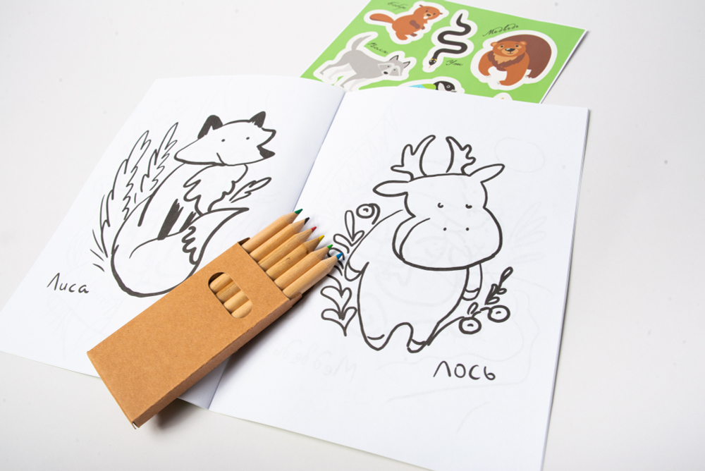 Раскраска с карандашами «Раскрась Карелию»