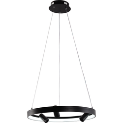 Светильник подвесной (подвес) Rivoli Selena 6147-101 LED 77 Вт 3000 - 6000 К с пультом