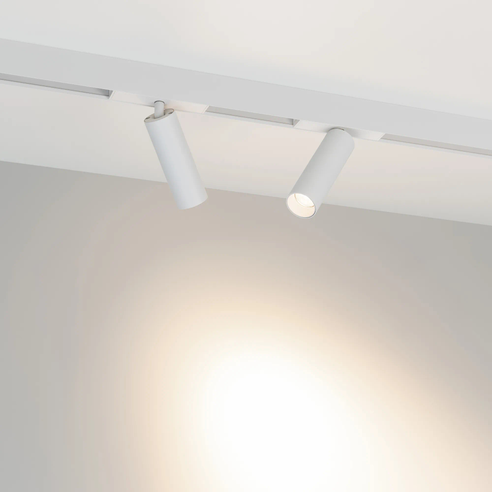Светильник MAG-SPOT-25-R120-12W Day4000 (WH, 30 deg, 24V) (Arlight, IP20 Металл, 5 лет) 050076