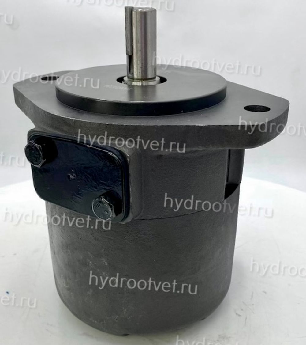 SQP2-12-1A - Насос пластинчатый гидравлический