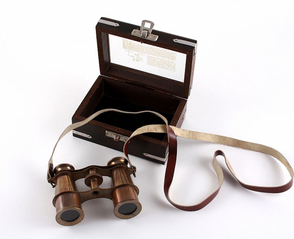 Р‘РёРЅРѕРєР»СЊ РІ РґРµСЂРµРІСЏРЅРЅРѕР№ РєРѕСЂРѕР±РєРµ