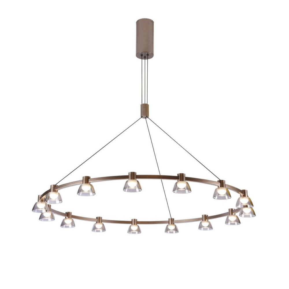 Подвесная светодиодная люстра Aployt Rezeda APL.788.03.15