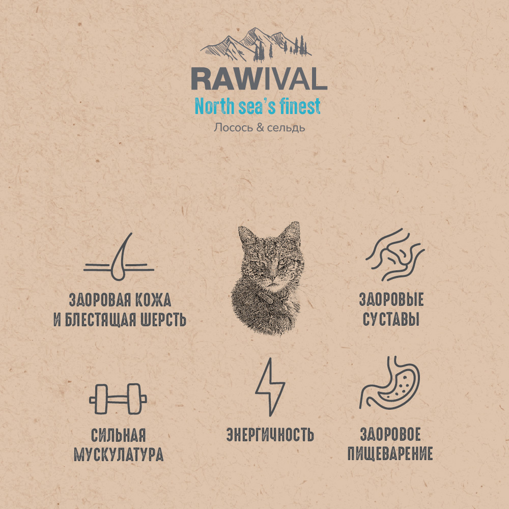 Сухой корм RAWIVAL для кошек с лососем и сельдью - 1,7 кг