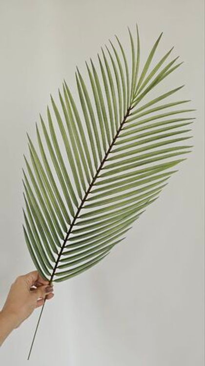 Лист пальмы Арека / Арт 9007