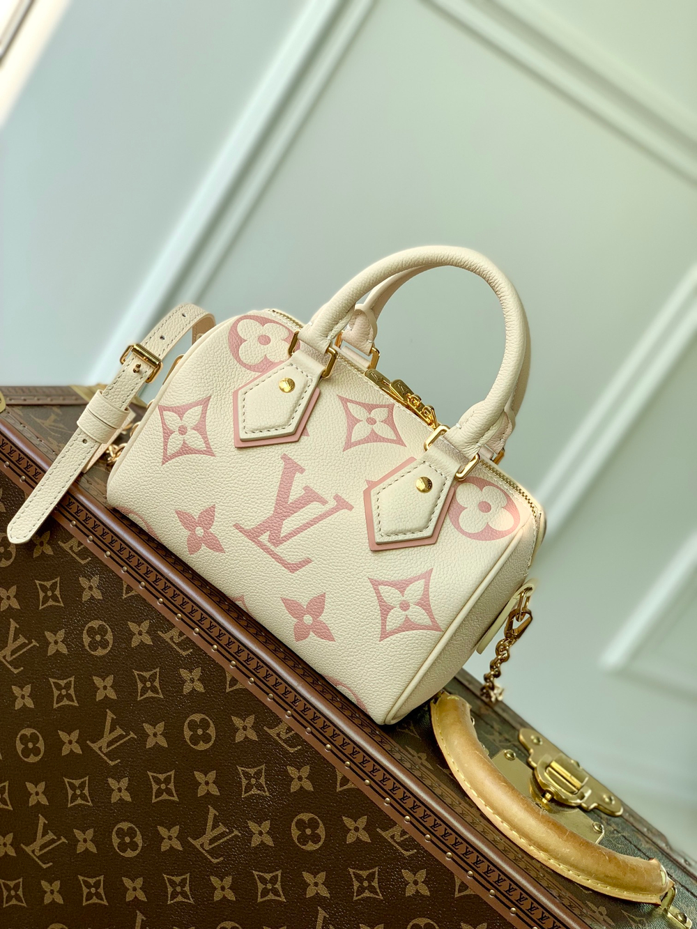 Louis Vuitton Speedy 20