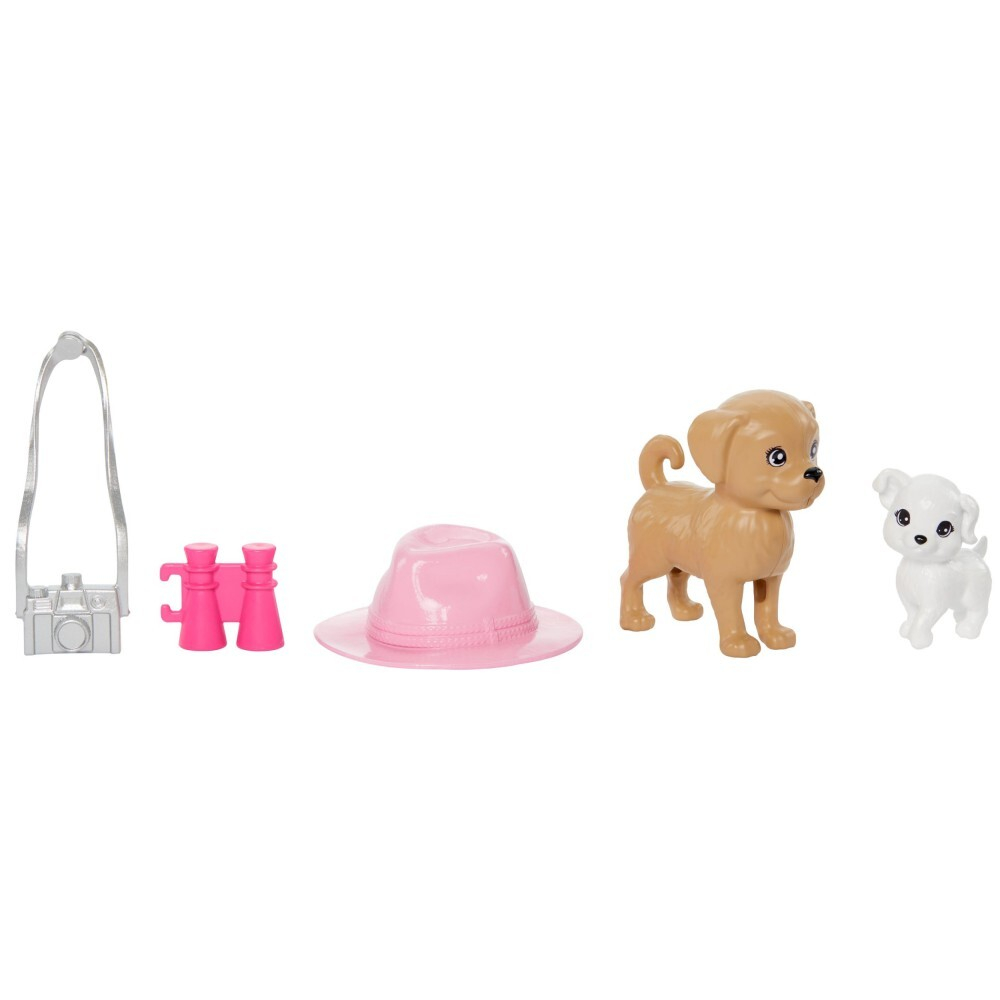 Barbie - Куклы Барби и Стейси 2 шт + аксессуары HRM09 / артикул   HRM09  / GTIN 194735180349