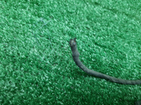 Проводка заднего бампера Mercedes CLS c257 (17-нв)